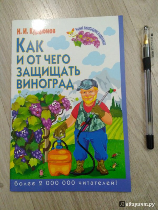 Иллюстрация 2 из 17 для Как и от чего защищать виноград - Николай Курдюмов | Лабиринт - книги. Источник: Тайна