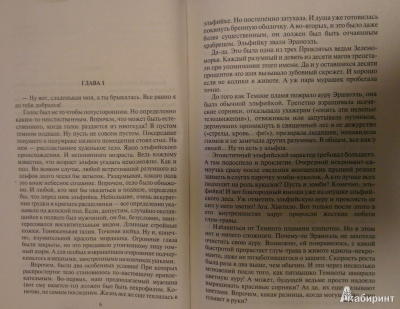 Иллюстрация 3 из 16 для Блондинка и некромант - Ал Кудряшов | Лабиринт - книги. Источник: Katty