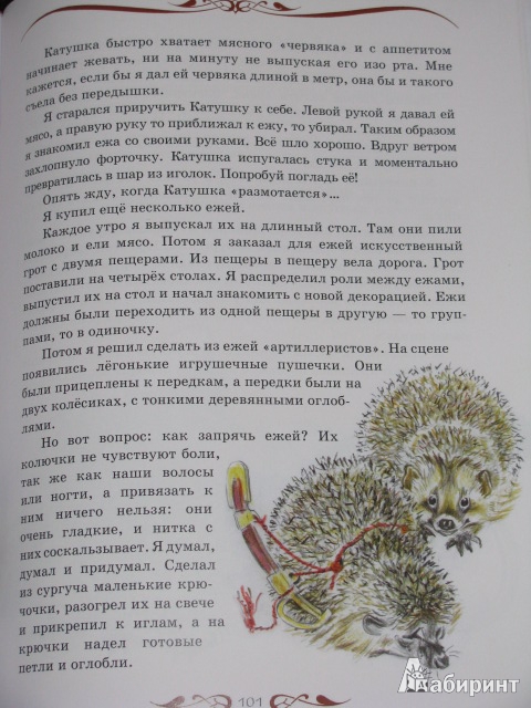 Иллюстрация 14 из 31 для Мои звери - Владимир Дуров | Лабиринт - книги. Источник: Nemertona