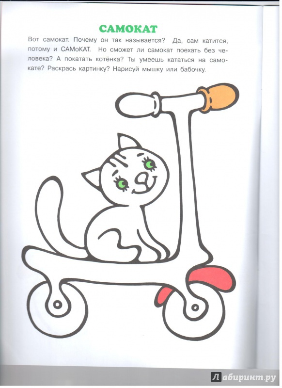 Иллюстрация 8 из 17 для Правильные раскраски. Мой мишка - Ирина Лыкова | Лабиринт - книги. Источник: Любовь Язовская