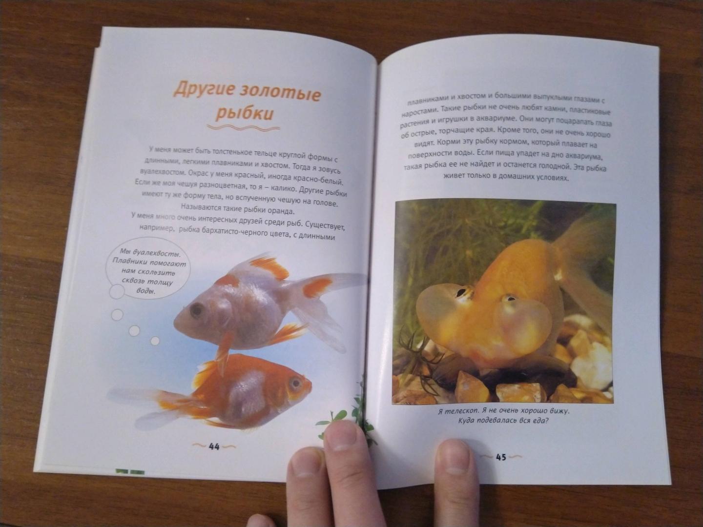 Иллюстрация 38 из 48 для Давай дружить! Золотая рыбка - Джилл Пейдж | Лабиринт - книги. Источник: Eiv1984