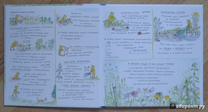 Иллюстрация 5 из 58 для Лето мишки Бруно - Гунилла Ингвес | Лабиринт - книги. Источник: Смолинова  Анастасия Олеговна