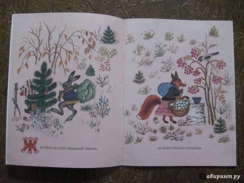 Иллюстрация 46 из 59 для Лиса и заяц | Лабиринт - книги. Источник: Шеин  Андрей