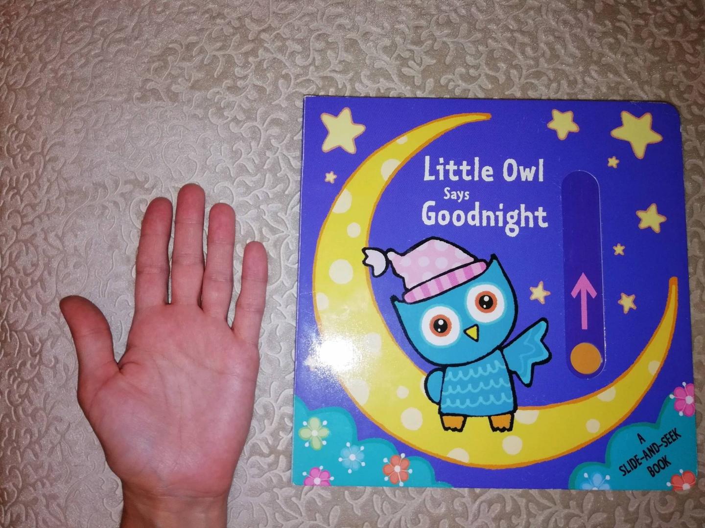Иллюстрация 5 из 7 для Little Owl Says Goodnight (slide-and-seek board bk) | Лабиринт - книги. Источник: Милешина  Анастасия