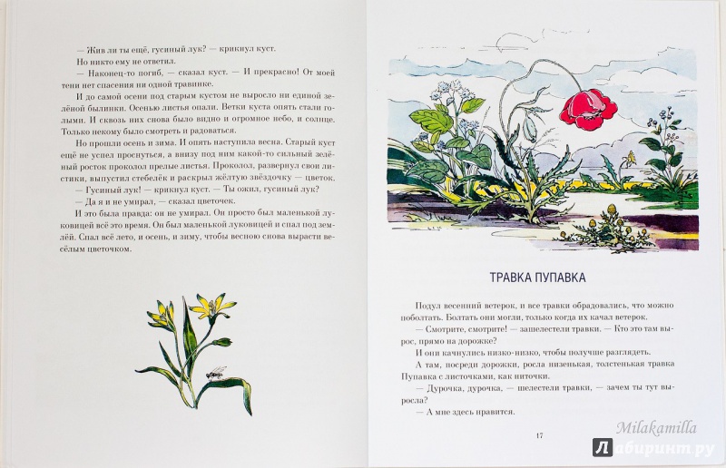 Иллюстрация 60 из 62 для Желтый, белый, лиловый - Нина Павлова | Лабиринт - книги. Источник: Букландия