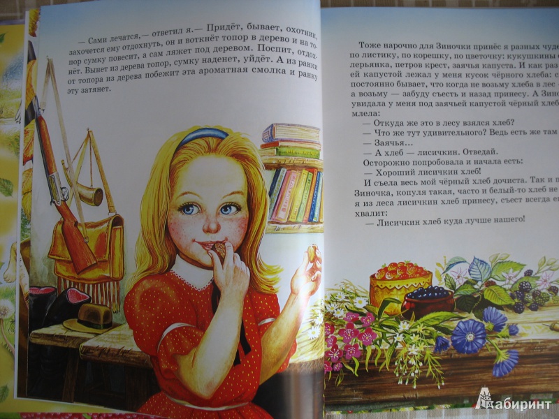 Иллюстрация 2 из 29 для Кладовая солнца - Михаил Пришвин | Лабиринт - книги. Источник: Tatyana_G