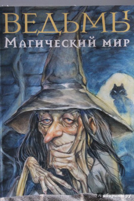 Иллюстрация 38 из 60 для Ведьмы. Магический мир - Рейнольдс, Моралес | Лабиринт - книги. Источник: Плакхина Евгения