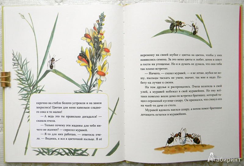 Иллюстрация 30 из 32 для Мышонок заблудился - Нина Павлова | Лабиринт - книги. Источник: Раскова  Юлия