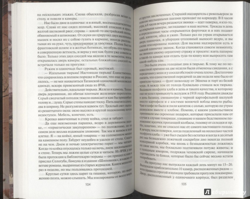 Иллюстрация 16 из 17 для Красный террор в Москве: свидетельства очевидцев | Лабиринт - книги. Источник: ds