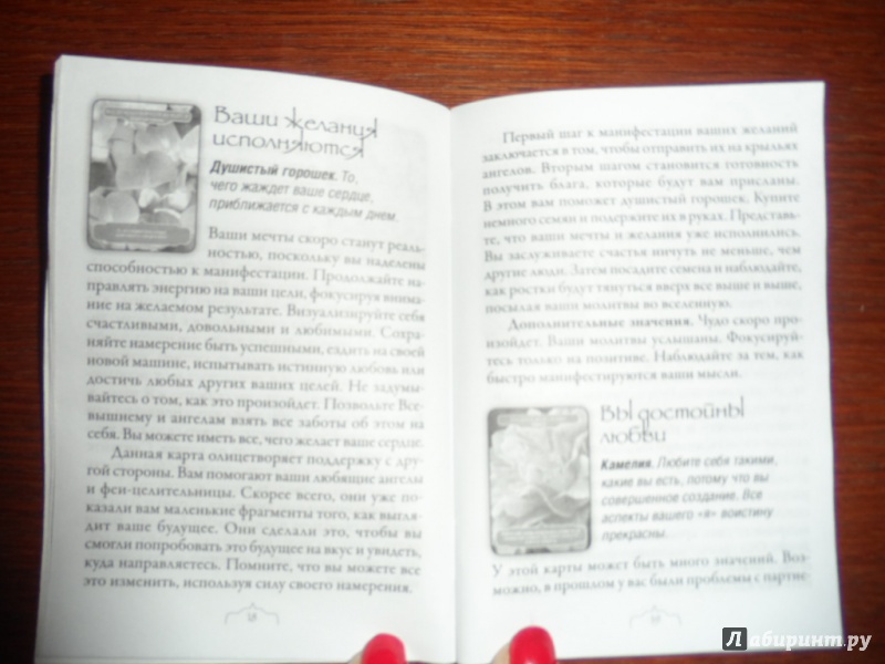 Иллюстрация 9 из 16 для Магия цветочной терапии (44 карты + инструкция) - Вирче, Ривс | Лабиринт - книги. Источник: Ксения  Ксения