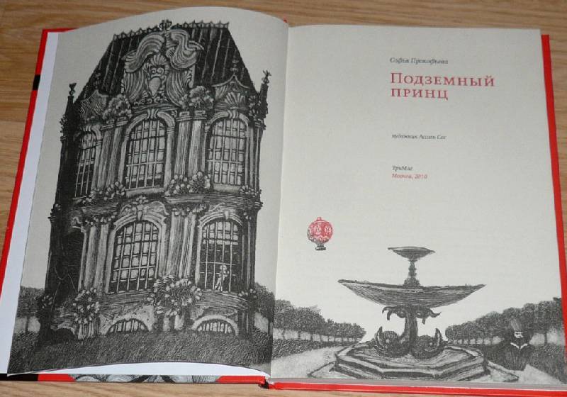 Иллюстрация 11 из 58 для Подземный принц - Софья Прокофьева | Лабиринт - книги. Источник: Pam