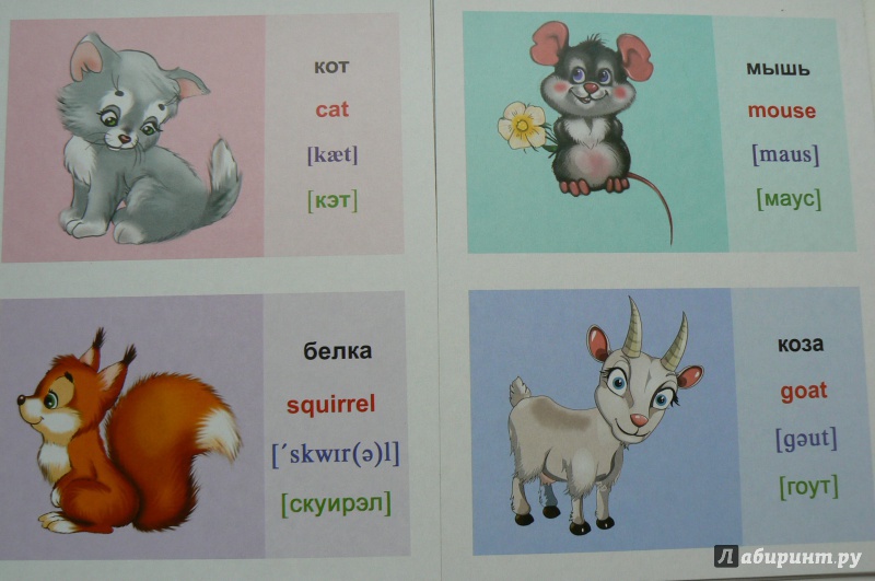 С английского на русский язык mice. Животные на английском языке для детей. Карточки животных. Животные на английском языке карточки. Животные английский для детей карточки.