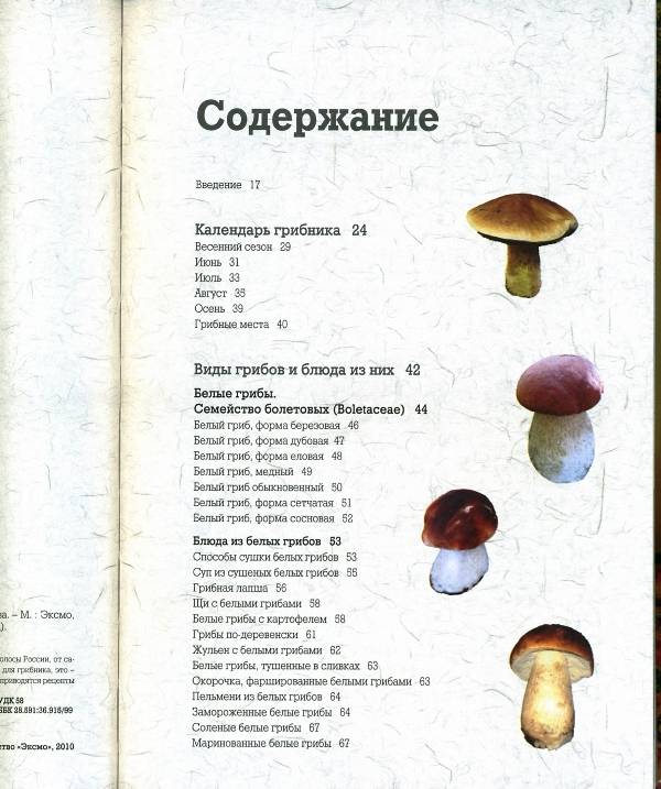 Иллюстрация 9 из 24 для Самые вкусные грибы - Матанцев, Матанцева | Лабиринт - книги. Источник: Yuka