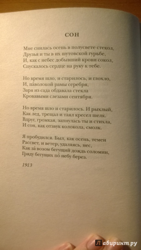 Иллюстрация 3 из 9 для Поэзия - Борис Пастернак | Лабиринт - книги. Источник: Воронина Анастасия