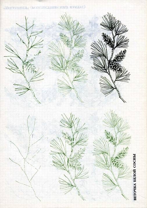 Иллюстрация 9 из 29 для Рисуем 50 цветов и деревьев - Эймис, Эймис | Лабиринт - книги. Источник: * Ольга *