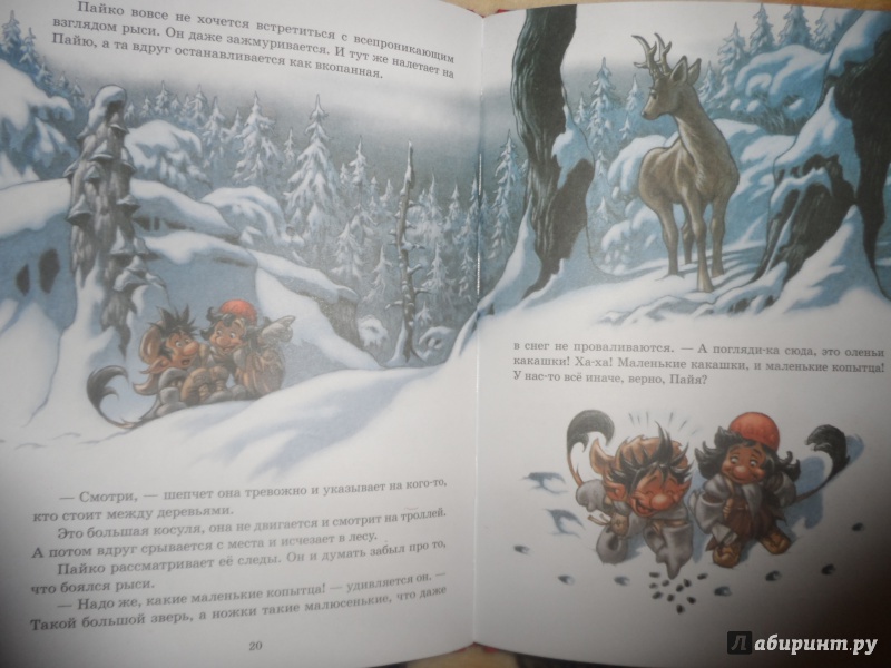 Иллюстрация 17 из 20 для Следы на снегу - Сиссель Бёэ | Лабиринт - книги. Источник: Костырченко  Александра Сергеевна