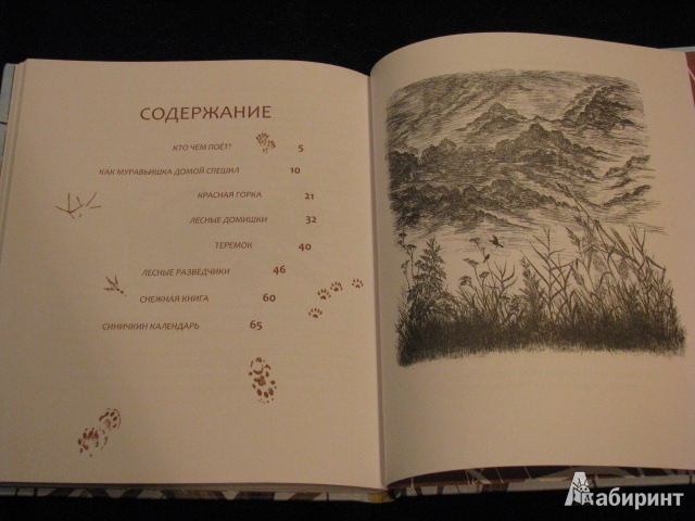 Иллюстрация 49 из 49 для Лесные разведчики - Виталий Бианки | Лабиринт - книги. Источник: Nemertona