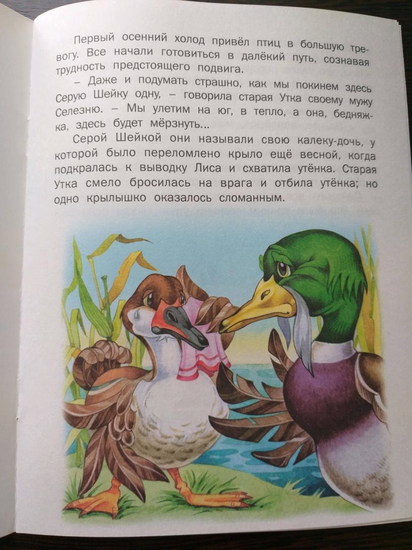 Иллюстрация 2 из 7 для Серая шейка ( по Д. Н. Мамину-Сибиряку) | Лабиринт - книги. Источник: Талышева Анастасия