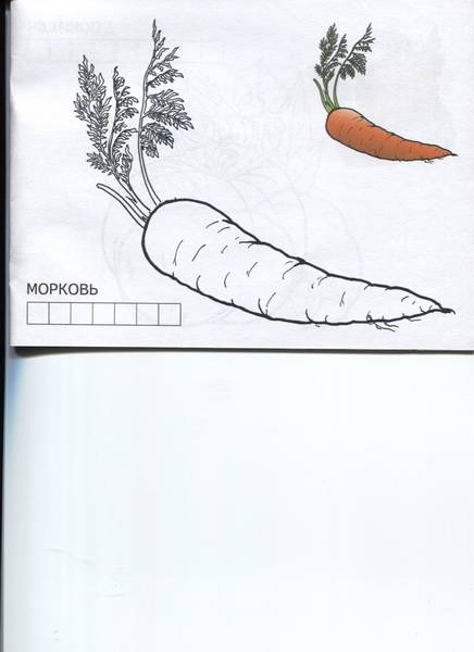 Иллюстрация 4 из 8 для Овощи | Лабиринт - книги. Источник: Марфа Посадница