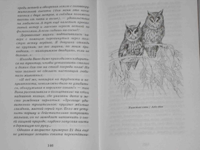 Иллюстрация 31 из 39 для О людях и птицах - Ольга Кувыкина | Лабиринт - книги. Источник: Трухина Ирина
