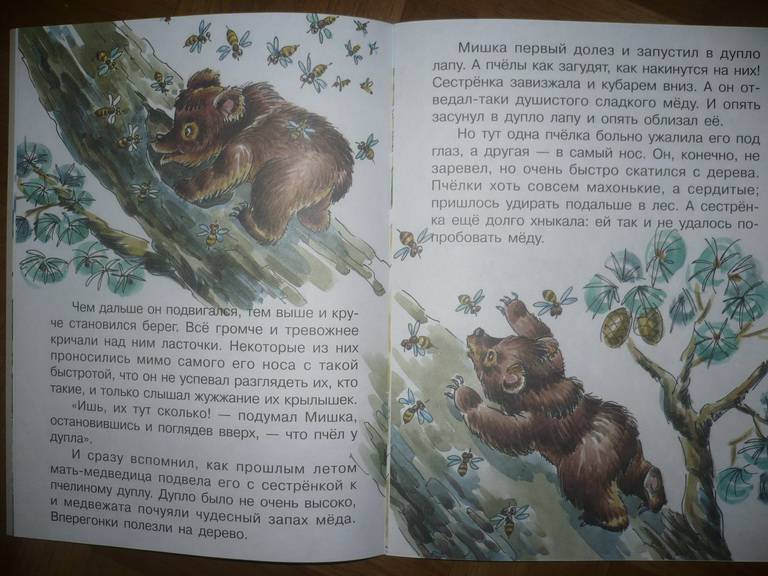 Иллюстрация 4 из 11 для Мишка - Башка - Виталий Бианки | Лабиринт - книги. Источник: Gurianova  Olga