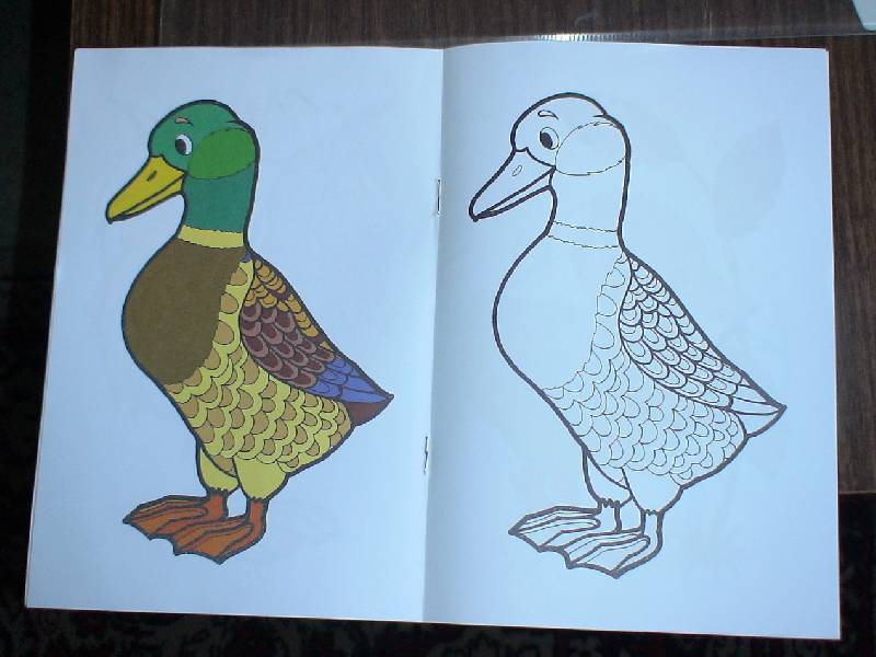 Иллюстрация 1 из 2 для Птичий двор | Лабиринт - книги. Источник: Лаванда