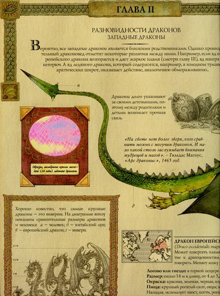Иллюстрация 59 из 60 для Драконоведение. Все о драконах - Эрнест Дрейк | Лабиринт - книги. Источник: Сати