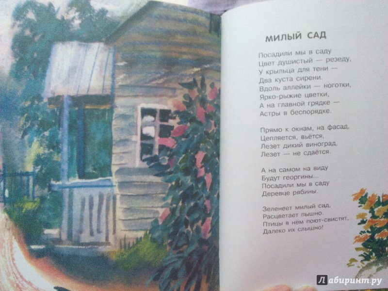 Иллюстрация 27 из 68 для Травушка-муравушка - Елена Благинина | Лабиринт - книги. Источник: Юлия89
