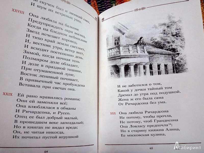 Иллюстрация 40 из 97 для Евгений Онегин - Александр Пушкин | Лабиринт - книги. Источник: nataly_an