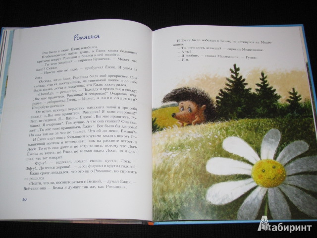 Иллюстрация 72 из 91 для Про Ежика и Медвежонка - Сергей Козлов | Лабиринт - книги. Источник: Nemertona