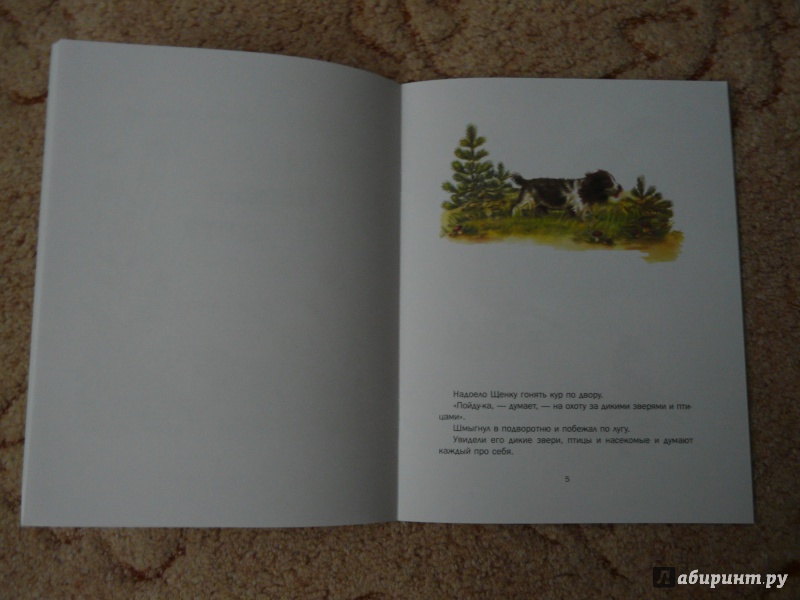 Иллюстрация 7 из 58 для Первая охота - Виталий Бианки | Лабиринт - книги. Источник: Псевдоним