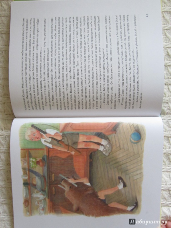 Иллюстрация 19 из 38 для Рассказы для детей - Юрий Нагибин | Лабиринт - книги. Источник: ЮлияО