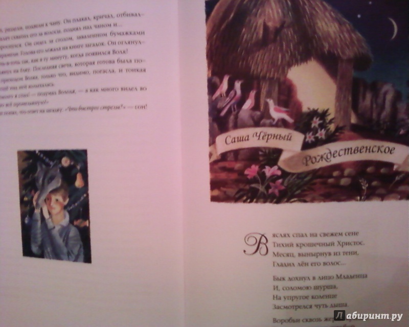 Иллюстрация 42 из 74 для Рождественские истории | Лабиринт - книги. Источник: Родионова  Надежда