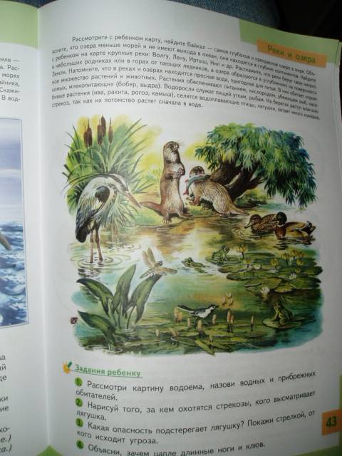 Иллюстрация 7 из 22 для Познаем природу - готовимся к школе: экологическая тетрадь для детей шестилетнего возраста - Николаева, Волкова | Лабиринт - книги. Источник: Стич