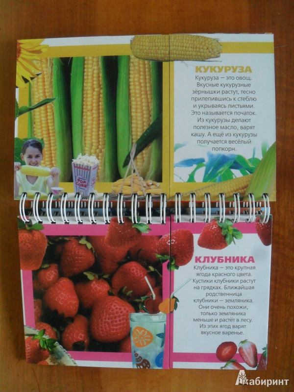 Иллюстрация 3 из 3 для Овощи и фрукты | Лабиринт - книги. Источник: miofio