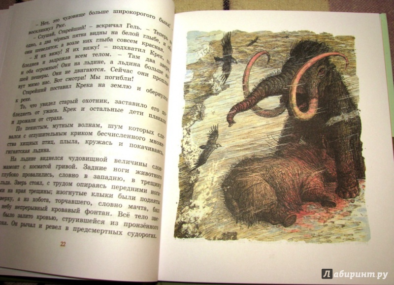 Иллюстрация 36 из 50 для Приключения доисторического мальчика - Эрнест Эрвильи | Лабиринт - книги. Источник: Бог в помощь