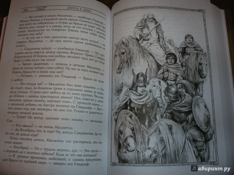 Иллюстрация 12 из 60 для Властелин колец. Том 3. Возвращение короля - Толкин Джон Рональд Руэл | Лабиринт - книги. Источник: Tiger.