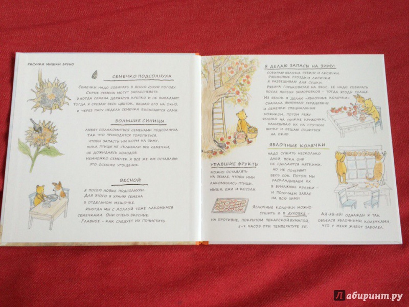 Иллюстрация 16 из 53 для Осень мишки Бруно - Гунилла Ингвес | Лабиринт - книги. Источник: Сан Санна