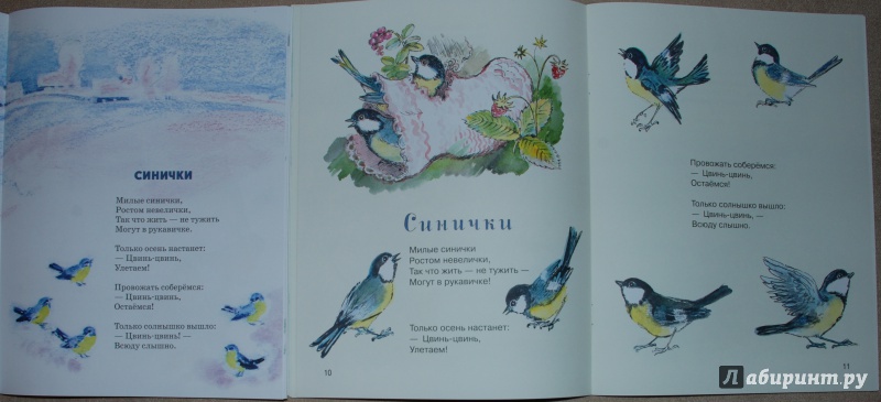 Иллюстрация 35 из 48 для Синички-невелички - Александр Прокофьев | Лабиринт - книги. Источник: Книжный кот