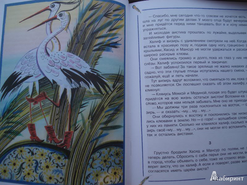 Иллюстрация 4 из 26 для Сказки - Вильгельм Гауф | Лабиринт - книги. Источник: Lubochka