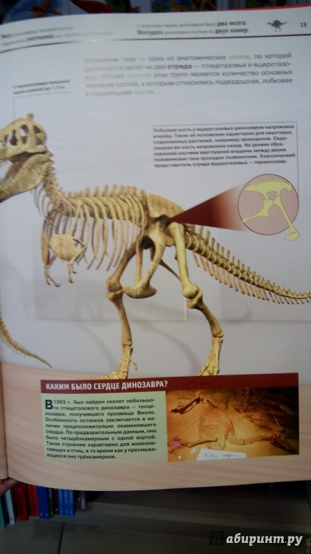 Иллюстрация 16 из 21 для Динозавры - Виктория Владимирова | Лабиринт - книги. Источник: Мила