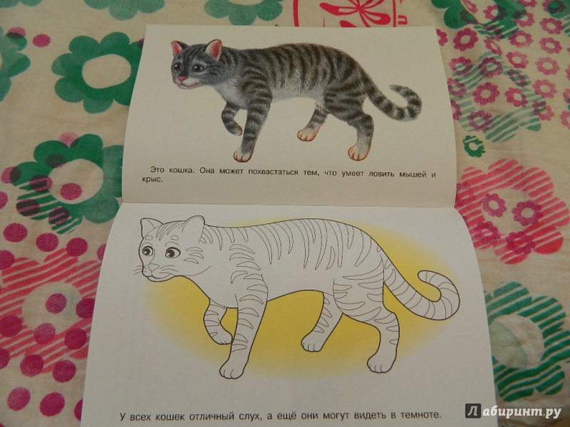 Иллюстрация 17 из 22 для Раскраска. Домашние животные | Лабиринт - книги. Источник: Nnatalek