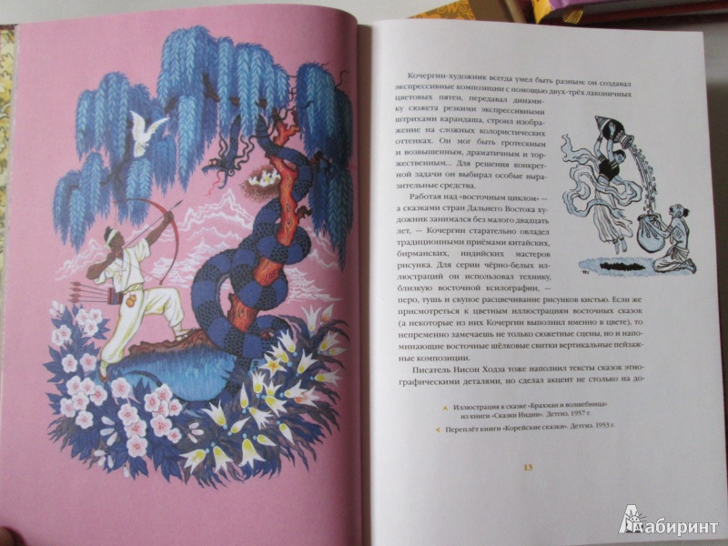 Иллюстрация 13 из 84 для Волшебная чаша: индийские сказки - Нисон Ходза | Лабиринт - книги. Источник: Алонсо Кихано