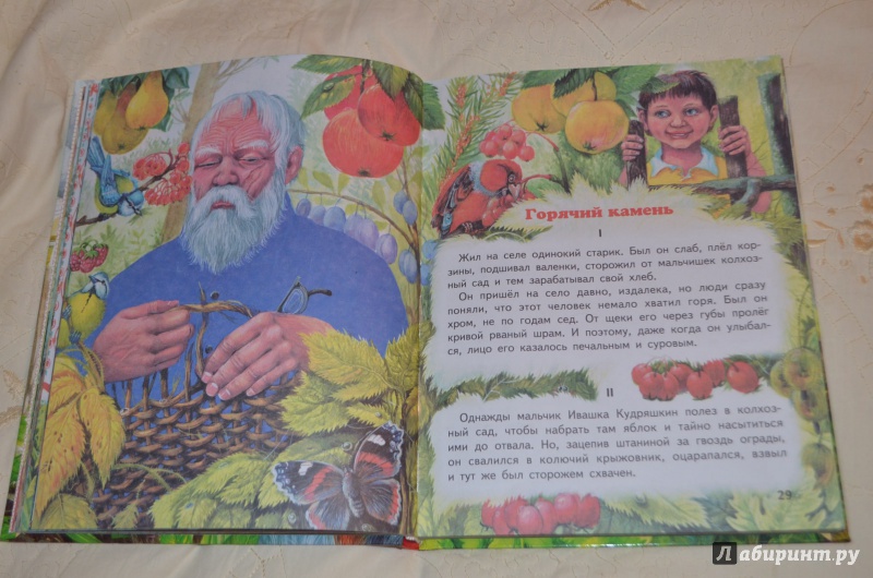 Иллюстрация 18 из 34 для Рассказы и сказки - Аркадий Гайдар | Лабиринт - книги. Источник: Deva*Ira