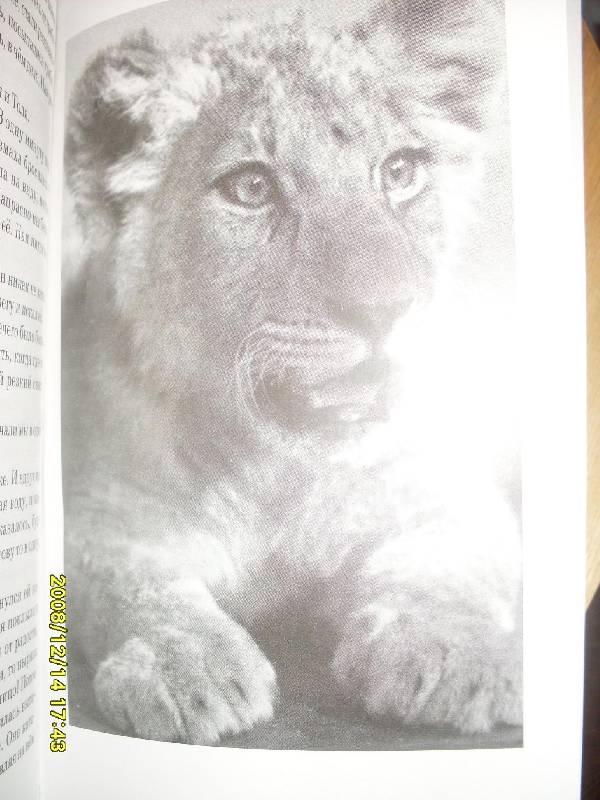 Иллюстрация 2 из 14 для Питомцы зоопарка - Вера Чаплина | Лабиринт - книги. Источник: Марта