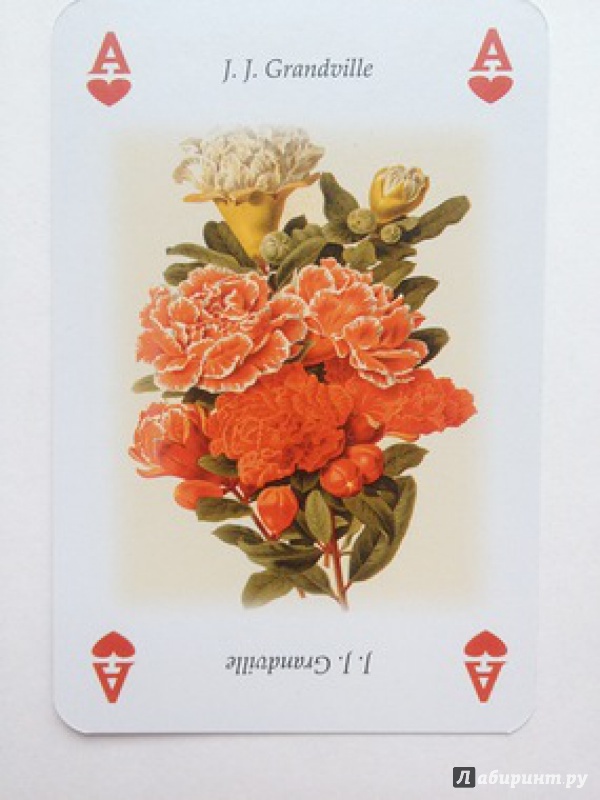 Иллюстрация 13 из 48 для Игральные карты "Живые цветы" | Лабиринт - книги. Источник: Мещерякова  Ольга Юрьевна