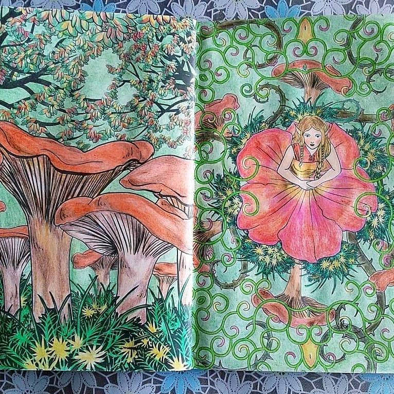 Иллюстрация 55 из 60 для Загадочный лес. Мини-раскраска-антистресс для творчества и вдохновения | Лабиринт - книги. Источник: Лабиринт