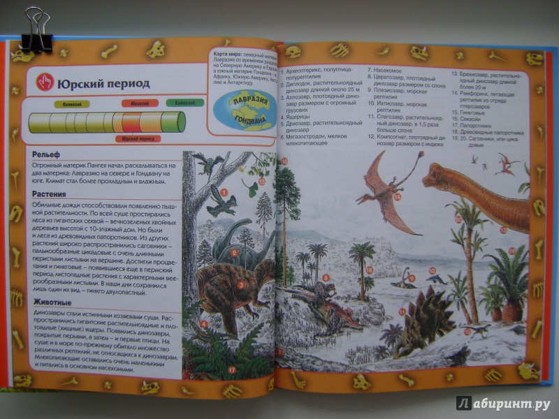 Иллюстрация 19 из 48 для Динозавры - Мария Боцци | Лабиринт - книги. Источник: Саша Юрина