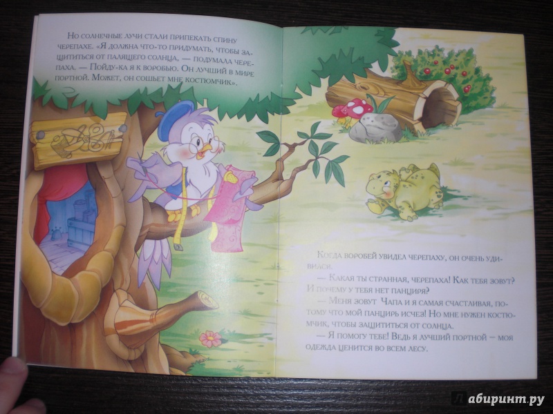 Иллюстрация 5 из 17 для Черепашка, которая мечтала летать | Лабиринт - книги. Источник: ДАРЁНА