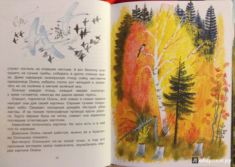 Иллюстрация 29 из 134 для Рассказы о природе для детей - Коваль, Скребицкий, Соколов-Микитов | Лабиринт - книги. Источник: Lapchi